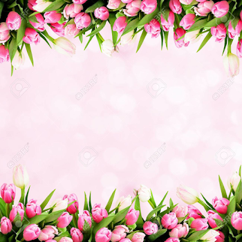 Pink Tulip Flowers Border On Holiday Background Stock Photo ...