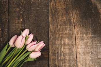 Pink Tulips On Wood Texture