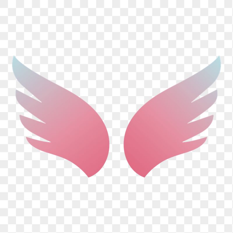 Pink wings png icon sticker, | Free Icons - rawpixel