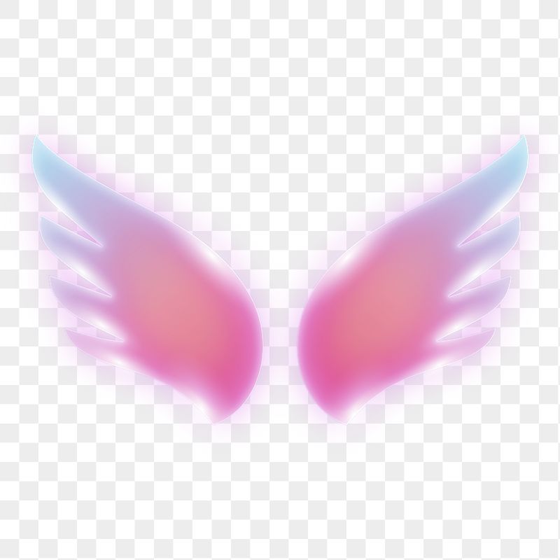 Pink wings png icon sticker, | Free Icons - rawpixel
