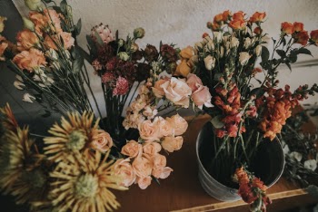 Pink, Yellow, Red, and Orange Flowers