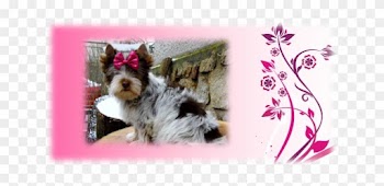 Pinky2 - Wedding Planner : Journal And Guide