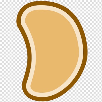 Pinto bean Soybean Cartoon , Bean People transparent background PNG clipart