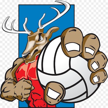 Pipersville, Pennsylvania Sport Volleyball Cartoon Clip art - others 