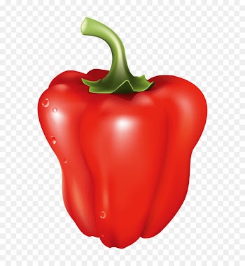 Piquillo pepper Habanero Yellow pepper Tabasco pepper Cayenne pepper - vegetable 