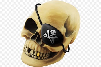 Piracy Skull Skeleton - Pirate Skull 