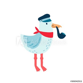 Pirate seagull vector illustration