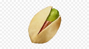 pistachio food plant fruit anthurium