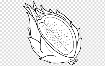 Pitaya Fruit Coloring book , dragon fruit transparent background PNG clipart