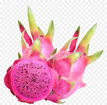Pitaya Fruit Image White-fleshed pitahaya Portable Network Graphics - dragonfruit flyer 