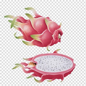 Pitaya Hylocereus undatus Fruit, Cut dragon fruit transparent background PNG clipart