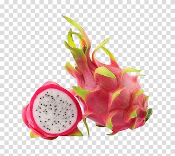 Pitaya Tropical fruit Vietnamese cuisine Juice, juice transparent background PNG clipart