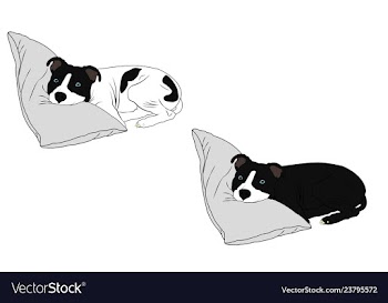  					Pitbull dogs cute vector image														