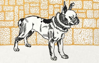 Pitbull Terrier (1912) print in high | Free Photo Illustration - rawpixel