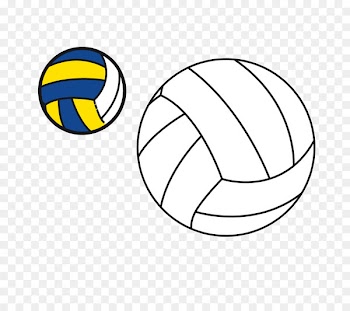 Pittsburgh Panthers womens volleyball Volleyball net Beach volleyball - volleyball 
