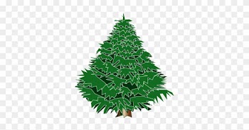 Pix For Evergreen Clip Art - Evergreen Tree