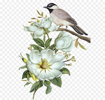 Pixel Computer file - Free hand-painted flowers and birds decorative patterns 