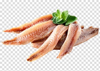 Pizza Anchovy Vegetable oil Anchovies as food, pizza transparent background PNG clipart