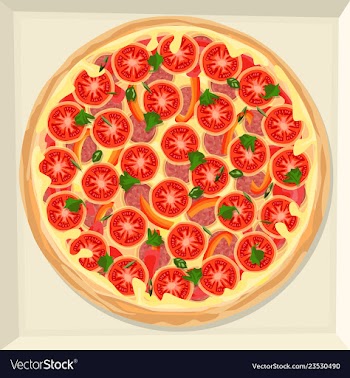 Pizza in a box vector image