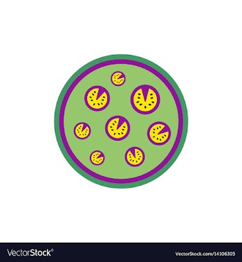 Pizza simple pizza icon top vector image