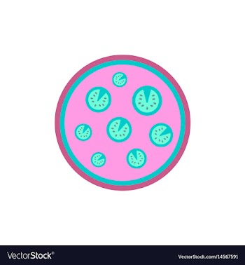 Pizza simple pizza icon top vector image