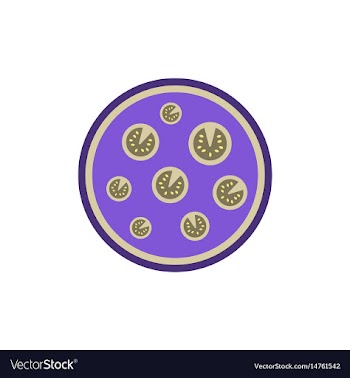 Pizza simple pizza icon top vector image