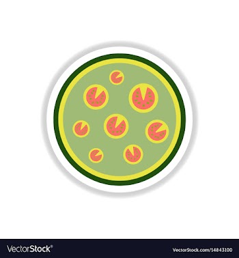 Pizza simple pizza icon top vector image