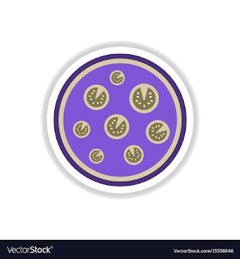 Pizza simple pizza icon top vector image