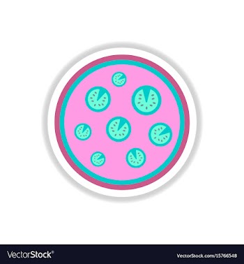 Pizza simple pizza icon top vector image