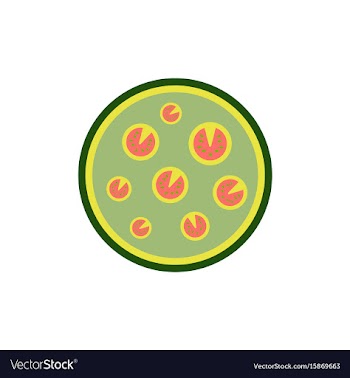 Pizza simple pizza icon top vector image