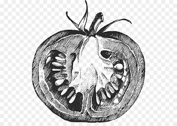 Pizza Tomato purxe9e Mashed potato - Tomatoes sketch 