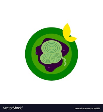 Pizza with onion simple pizza vector image