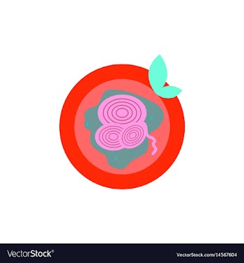Pizza with onion simple pizza vector image