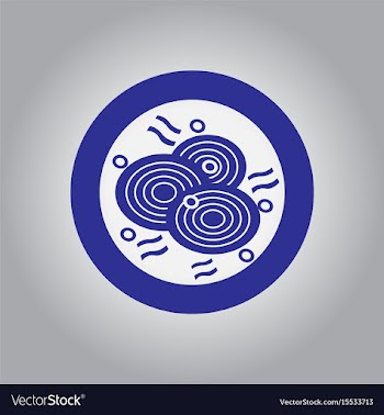 Pizza with onion simple pizza vector image