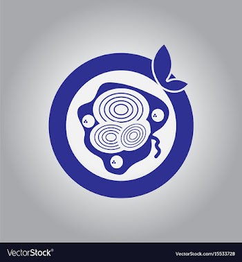 Pizza with onion simple pizza vector image