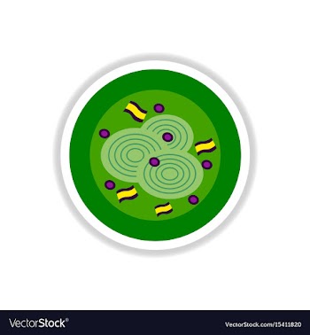 Pizza with onion sticker vector image