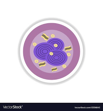 Pizza with onion sticker vector image