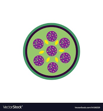Pizza with salami simple vector image