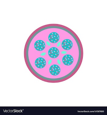 Pizza with salami simple vector image