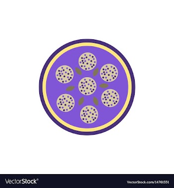 Pizza with salami simple vector image