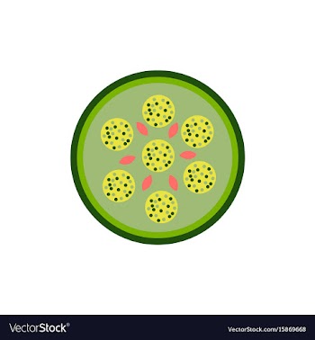 Pizza with salami simple vector image