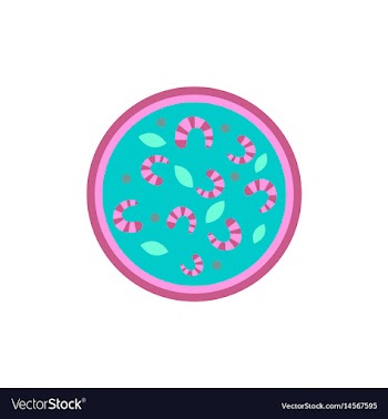 Pizza with shrimps simple vector image