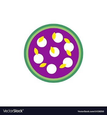 Pizza with white cheese vector image