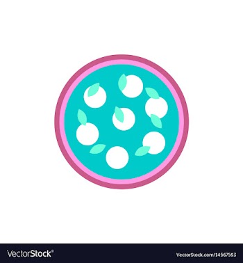 Pizza with white cheese vector image