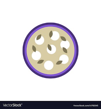 Pizza with white cheese vector image