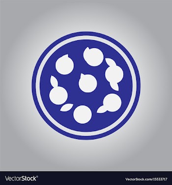 Pizza with white cheese vector image