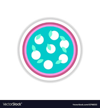 Pizza with white cheese vector image