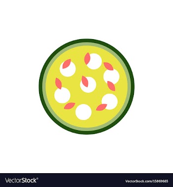 Pizza with white cheese vector image