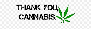 Pk, Medical Marijuana Inc - Parkpop