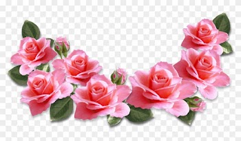 Placas, Criatividade, Molde, Sozinho, Galeria De Clipart, - Valentines Day Pink Roses